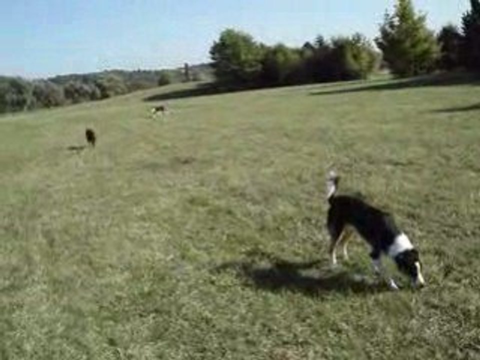 MOV02727