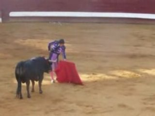 DAX 7 SEPTEMBRE 2008 : MORANTE DE LA PUEBLA