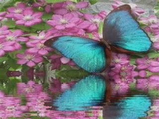 Dj dean  dreamworld  album cut mix