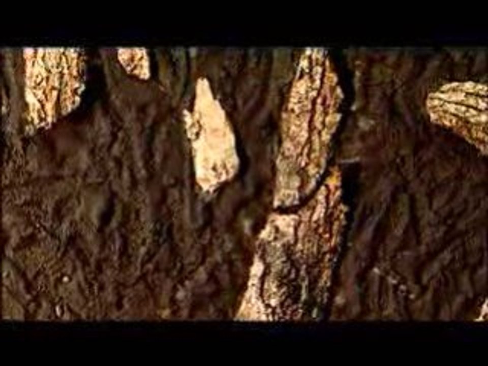 Ernesto MORA - Artiste Peintre #3