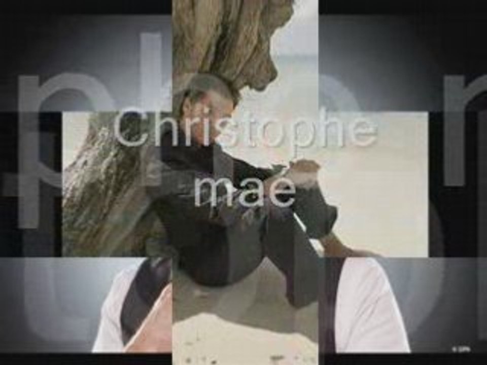 Artiste masculin francophone de l'année 2009