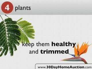 For Sale By Owner Auctions In Florida | 30DayHomeAuction.com