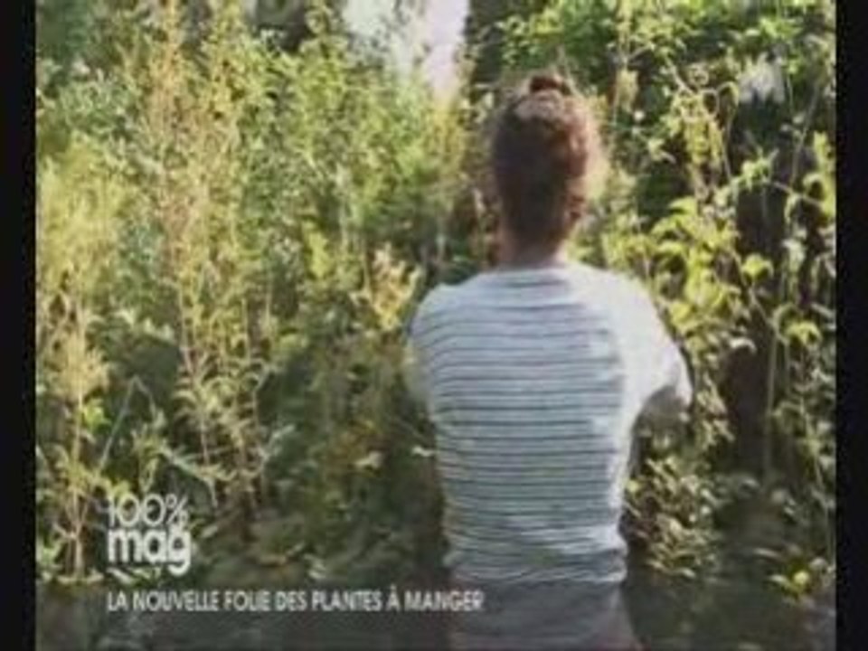 Cuisine plantes sauvages et  fleurs comestibles avec Pierrette Nardo