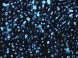 Images et Sons 2005-06 Architectu, Utopie.