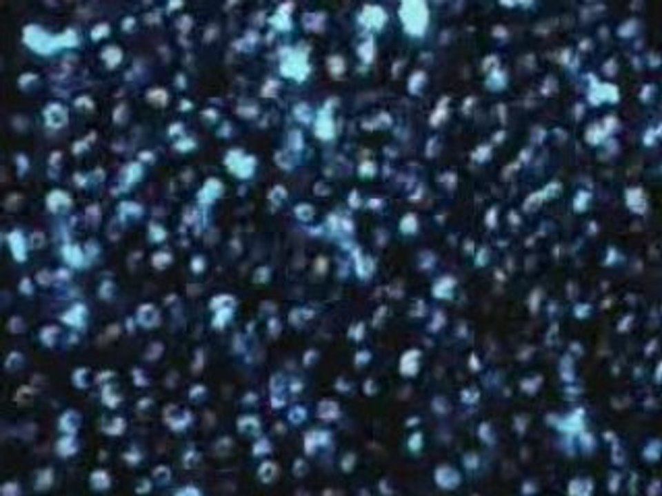 Images et Sons 2005-06 Architectu, Utopie.