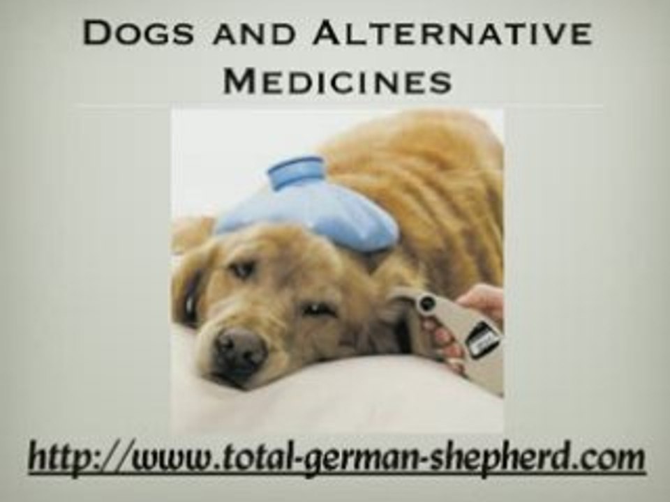 Alternative veterinary medicines - Alternative Pet Medicines
