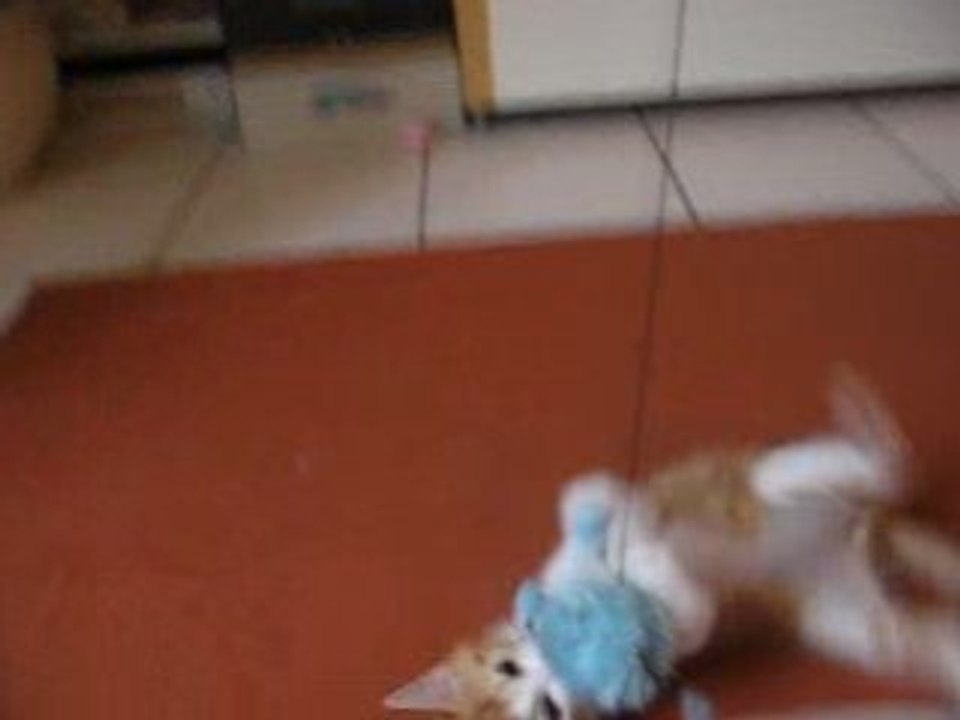 Dewey joue