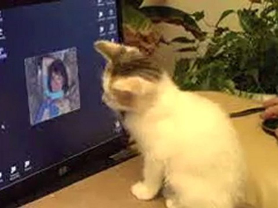 Prâline informatichatte