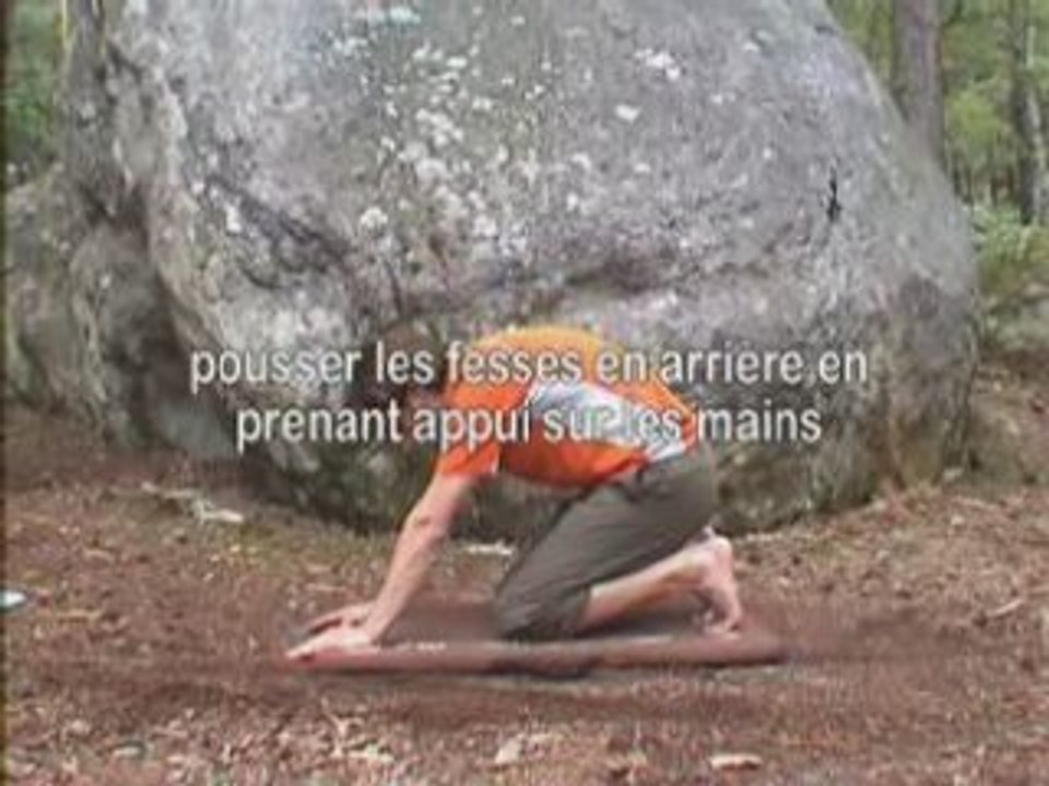 fléchisseurs des orteils