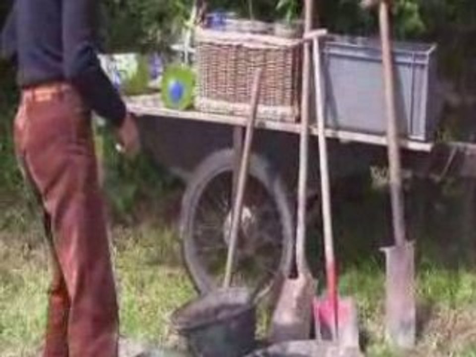 Plantations de bouteilles