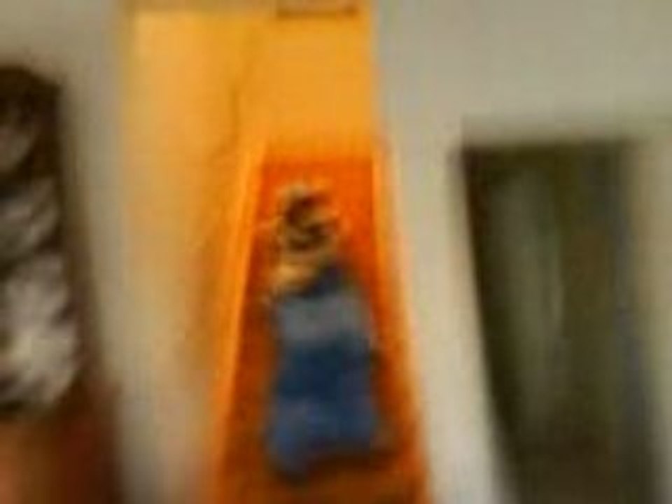 MOV00247