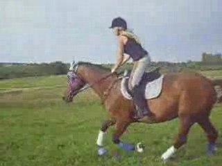 CSO enos