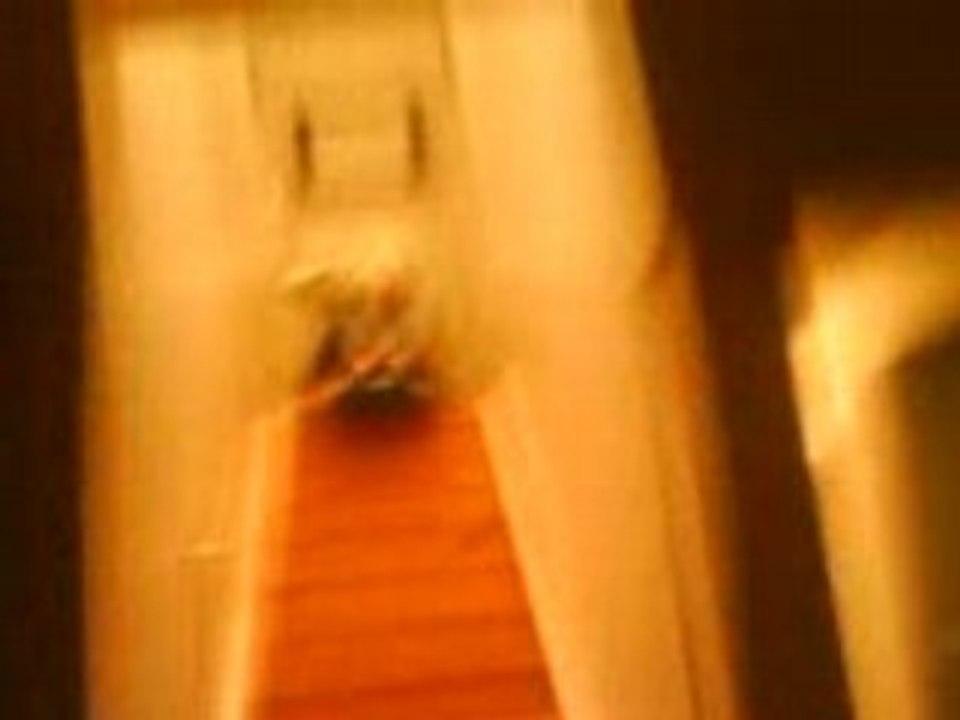 MOV00316