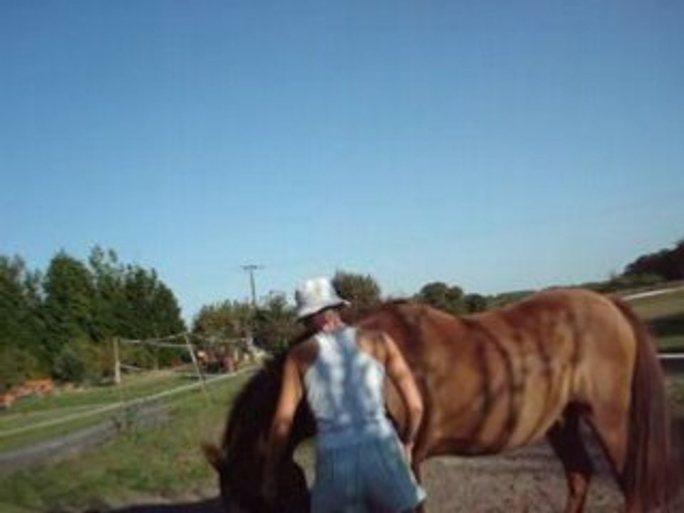 charly joue liberté 2