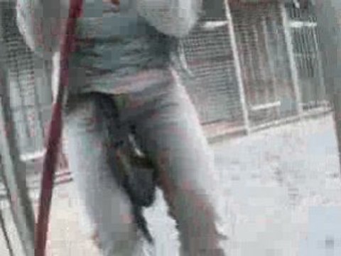 Journées Portes Ouvertes Octobre 2008 SPA