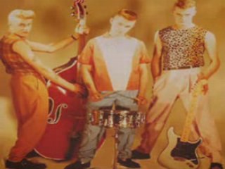 The sharks - short shark shock