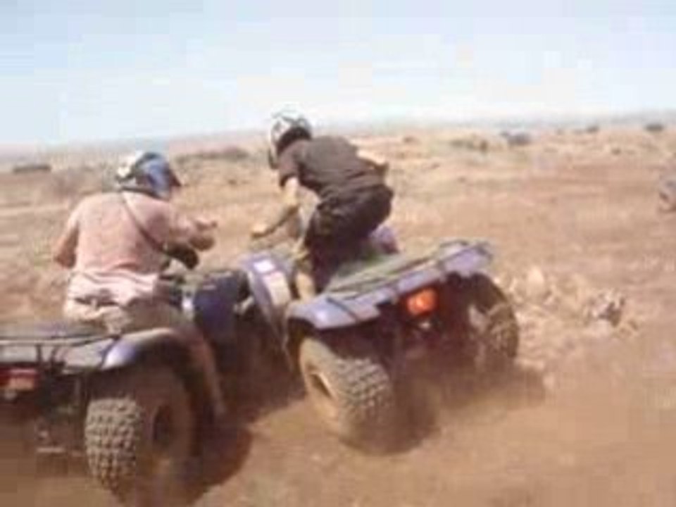 quad elksiba
