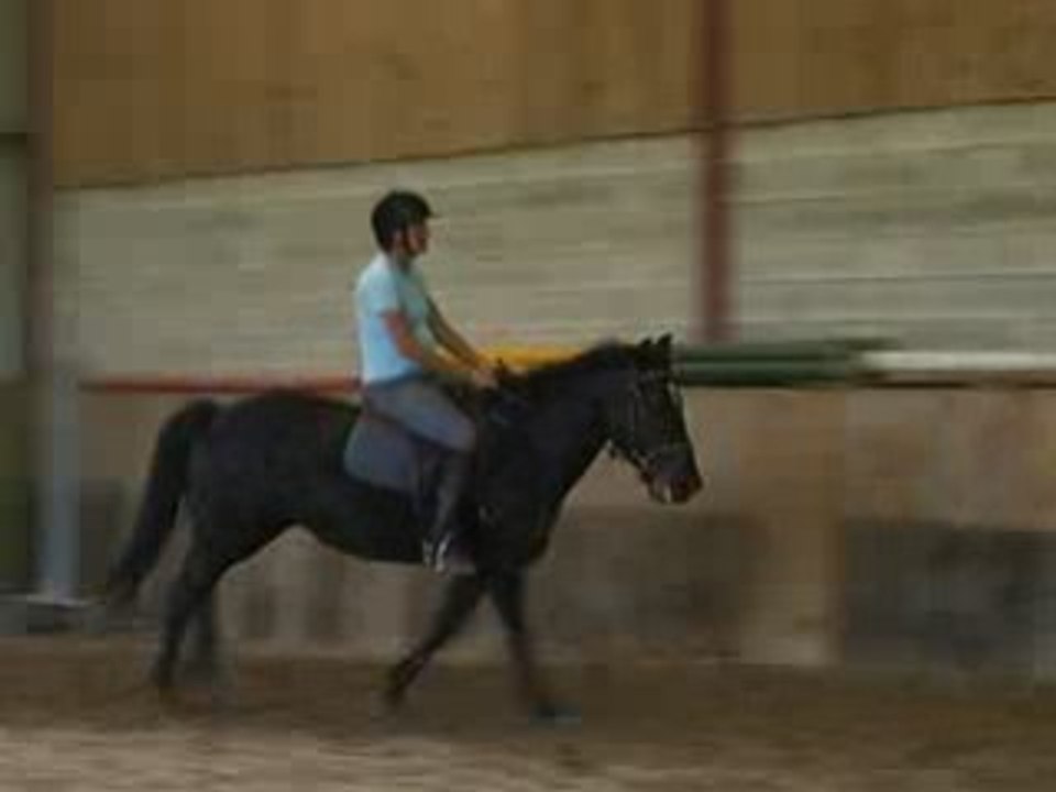 Galop assis