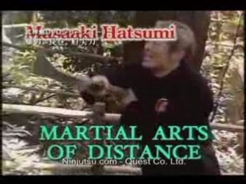 Hatsumi Bujinkan Naginata