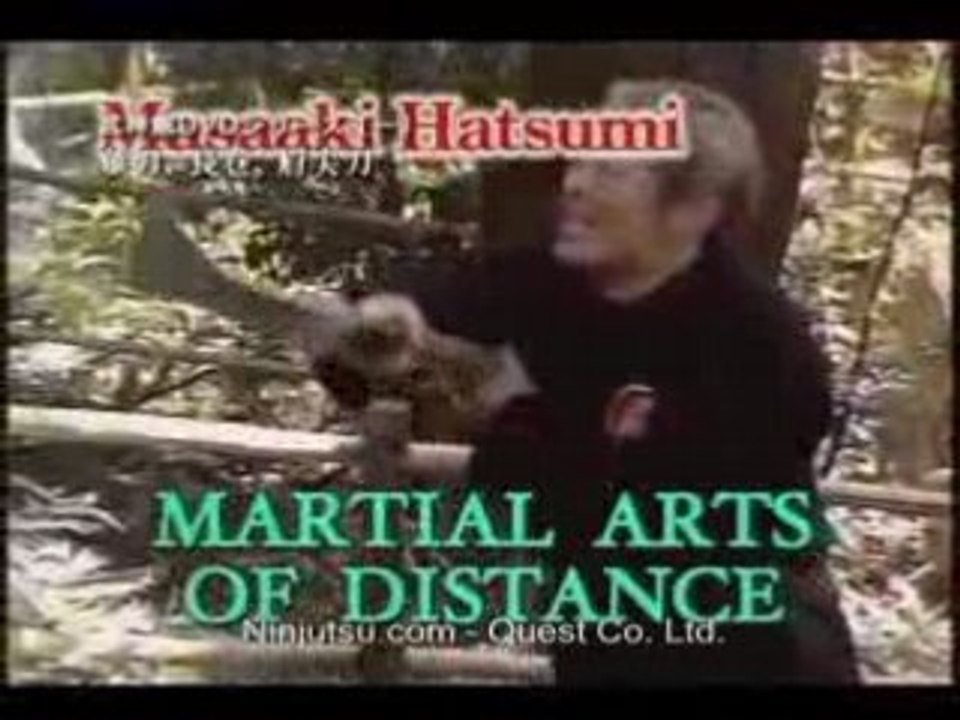 Hatsumi Bujinkan Naginata