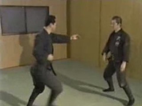 Bujinkan Hatsumi Sensei