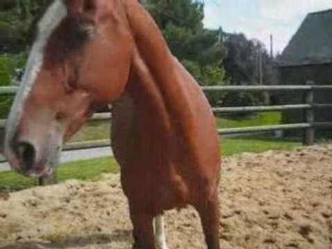 Montage Chayton001_0001 musique yann tiersen