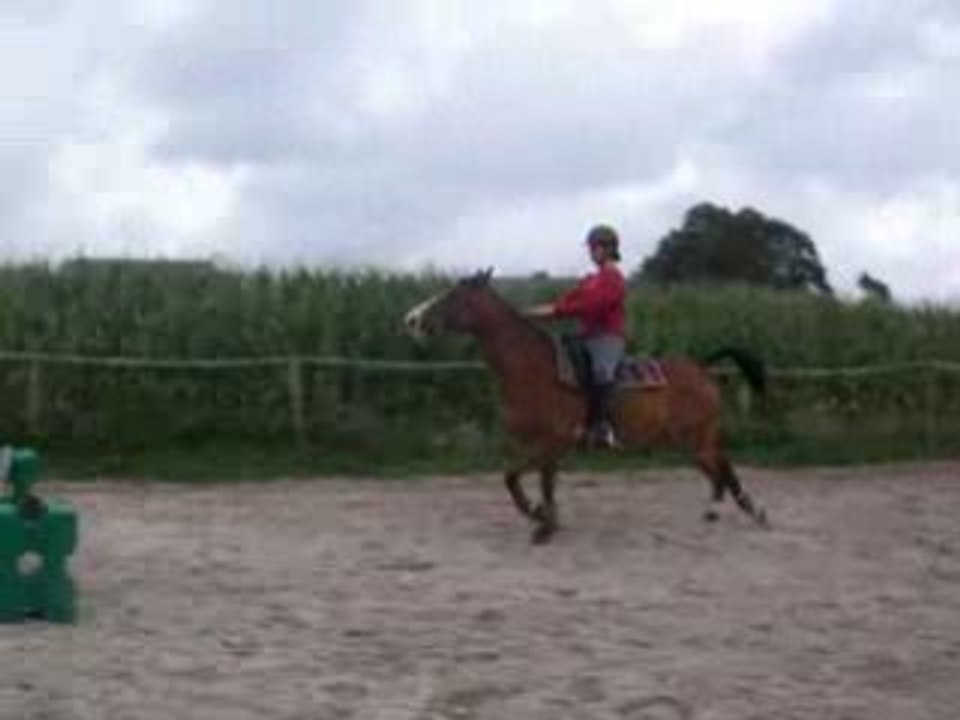 Farceur saut