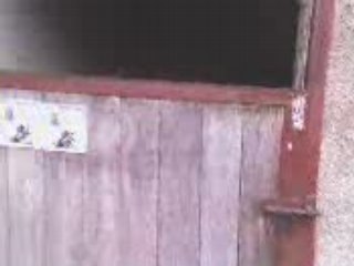 Pauline version cheval ^^