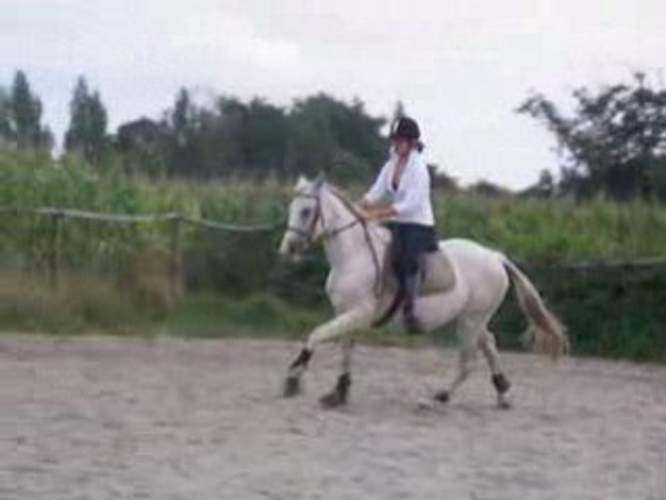 Galop Ja