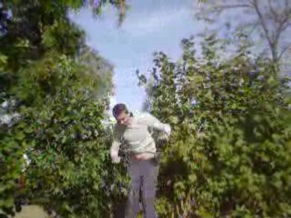 Moi par au dsu la cloture