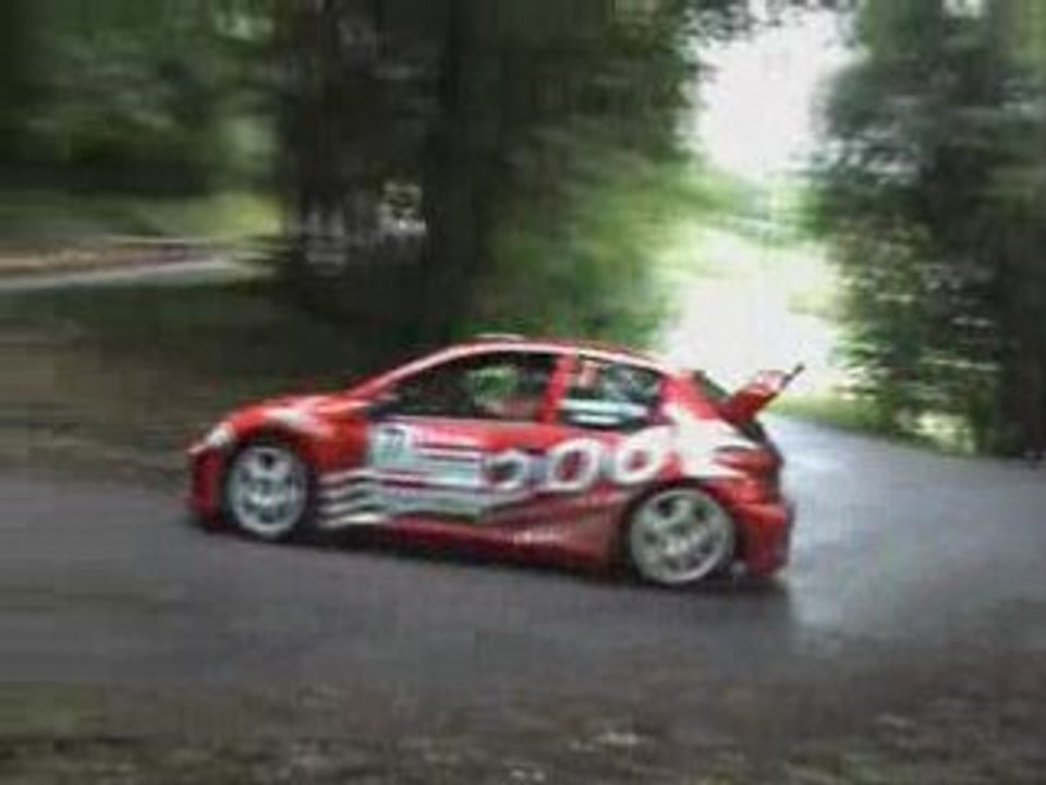 Rallye du Mont-Blanc 2008_ estrallye.com