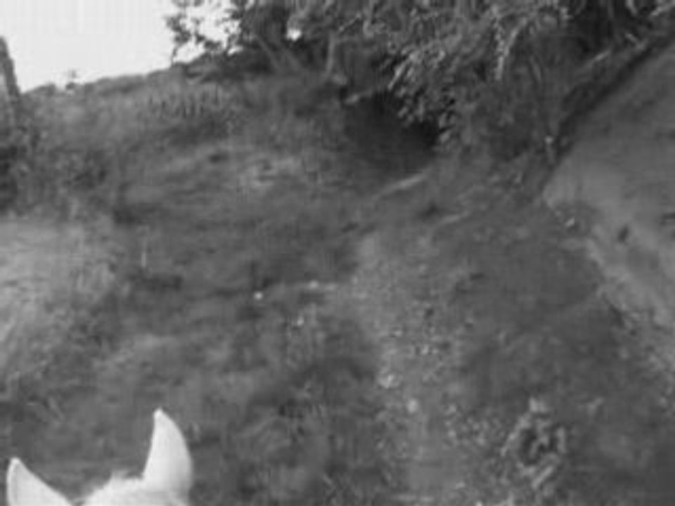 Première ballade en cordelette avec indiana <3