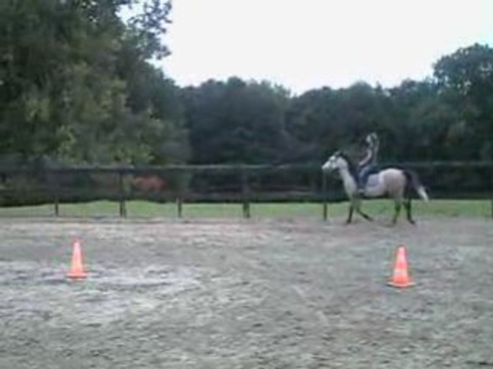 CLIP0002