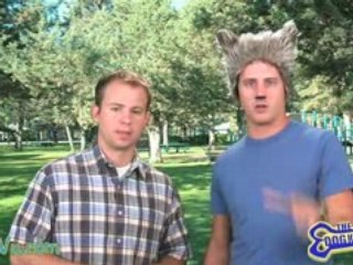 Dog Knows: What to Look For in a Dog Breeder