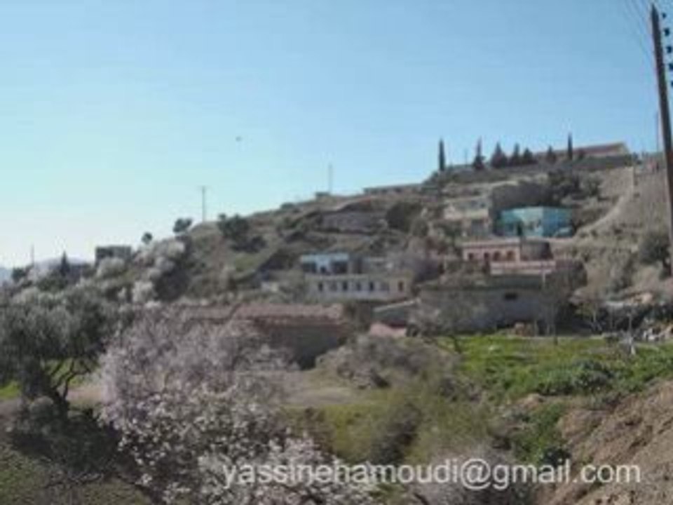 Lounes azar_0001
