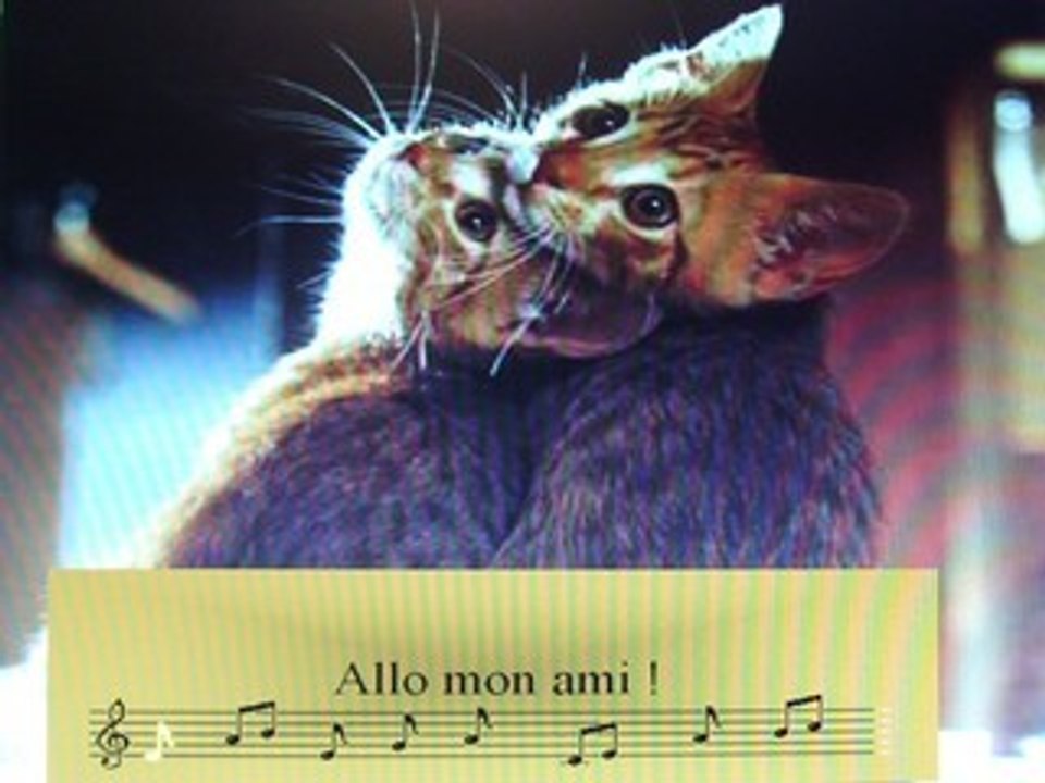 HELLO , L'AMITIE !!!...