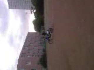 250 yz ridfa lhay les roses