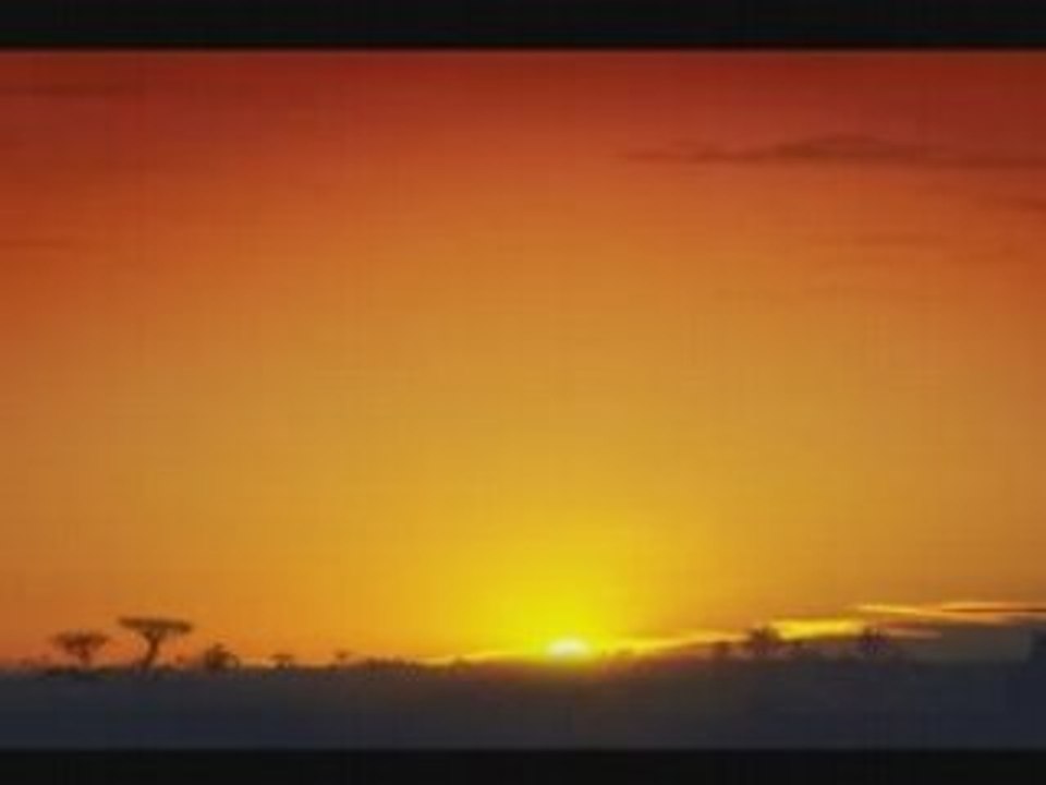 Dailymotion scandale et verites