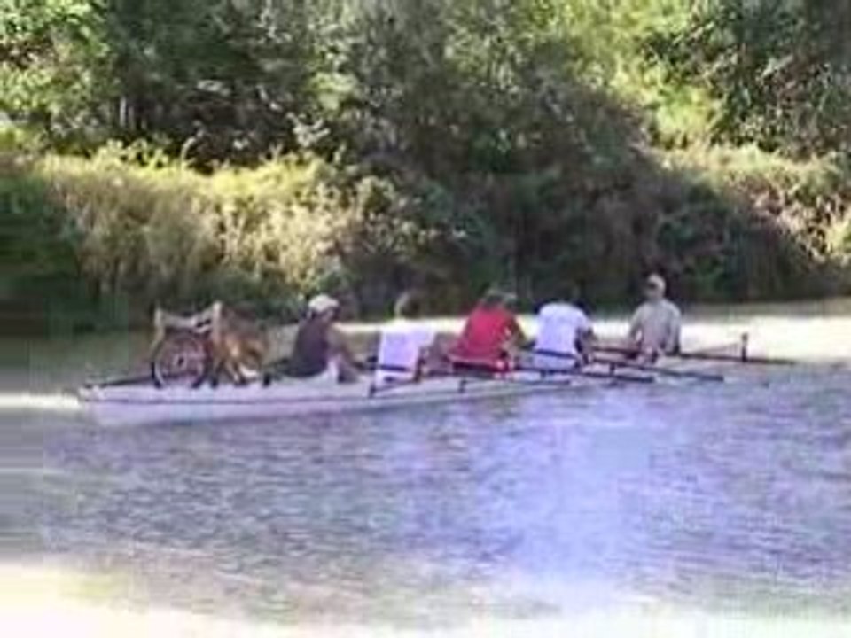 Castres 7