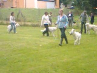 Rassemblement bbs 087