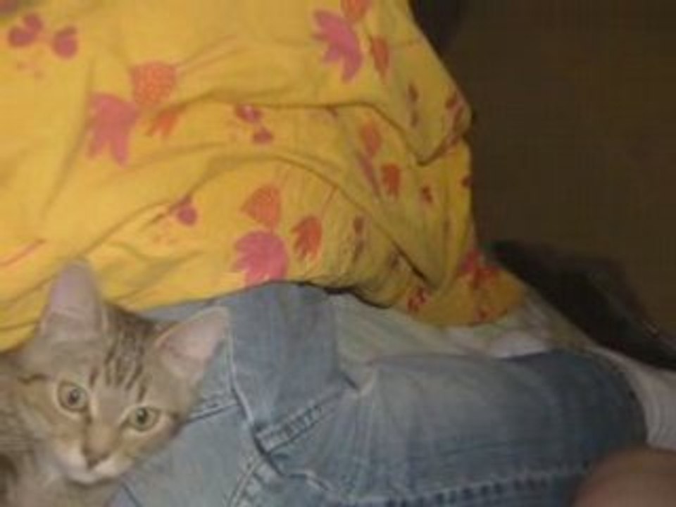 Caline and Mickey