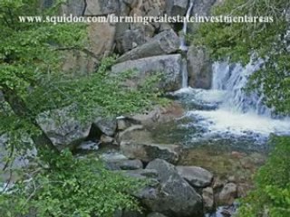Real Estate Investment Areas