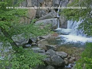 Farming Real Estate Investments