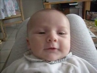 Petit Crapaud