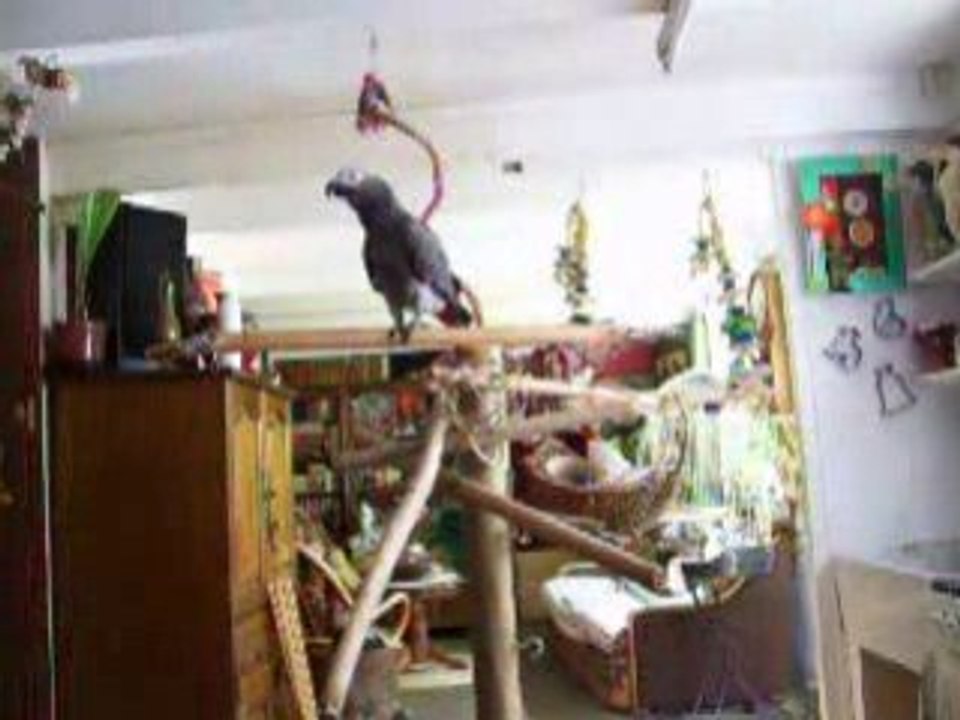 Cocodamour sept 2008 003