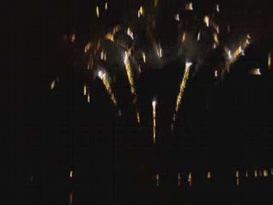 Feux de viana do Castelo 2008