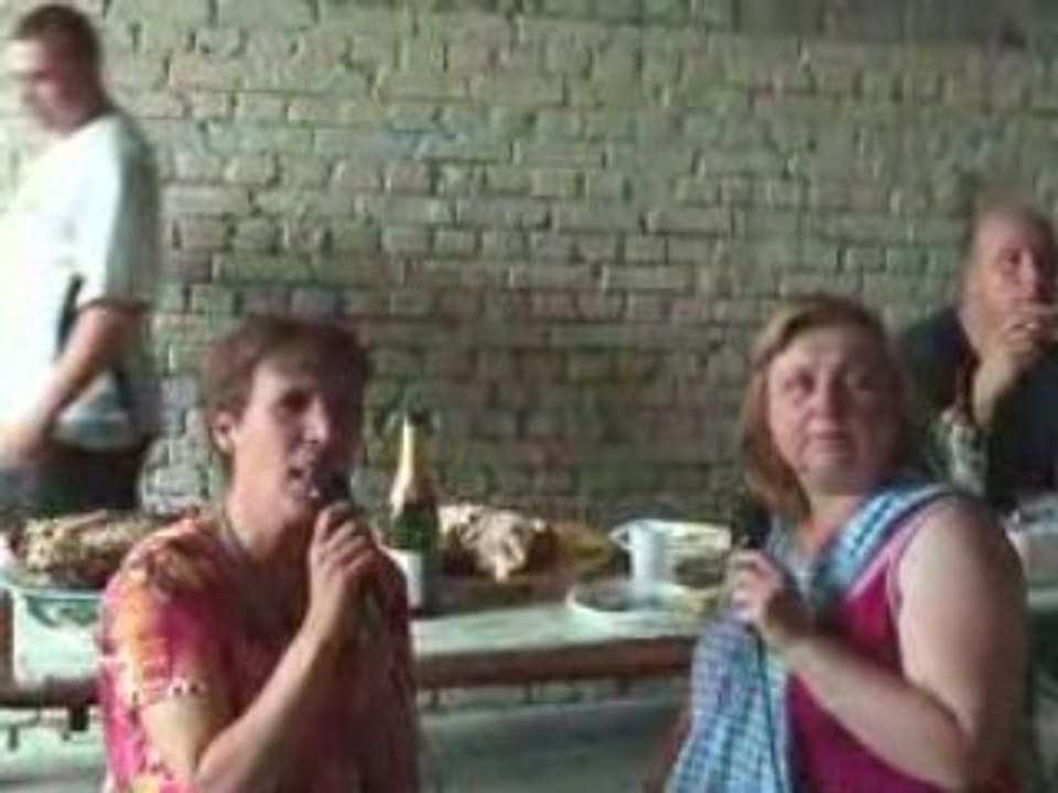 Moi et ma belle soeur en karaoke "j'ai encore révé d'elle"