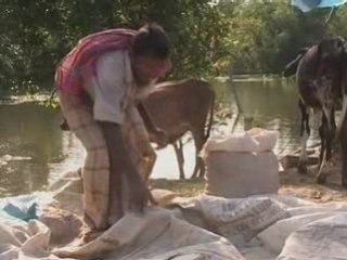 Floods in Bangladesh kills 12 and leaves thousands homeless