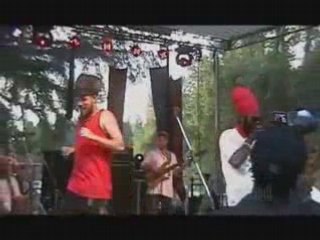 No Bones No Blood inna me kitchen