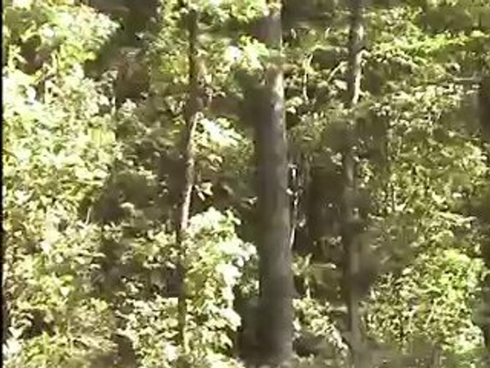 Etape 3 : Mardi 9 septembre 2008